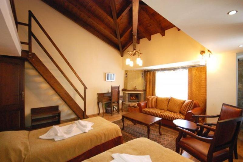 Vasilitsa Spa Resort Grevena Zimmer foto